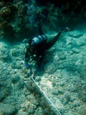 anchor chain