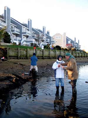 hull fragment at low tide