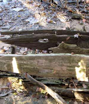 hull fragment at low tide