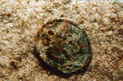 coin