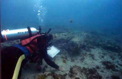 diver surveying cannon