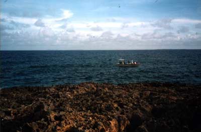 hull fragment at low tide