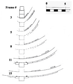 drawing of frames