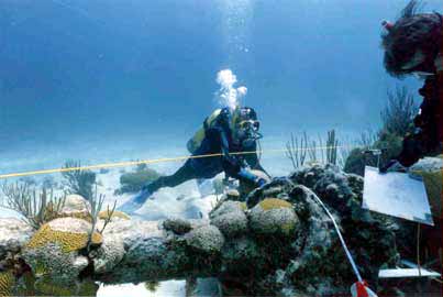 Shaft of Windlass or Capstan