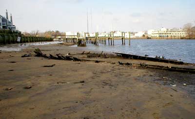 wrecks exposed at low tide