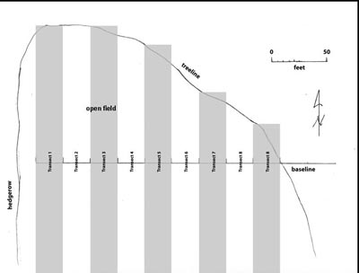 map of survey transects