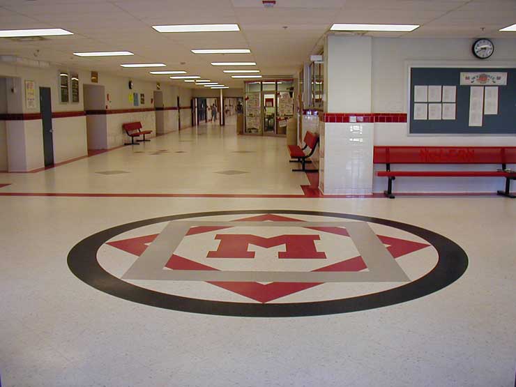 Picture of Mclean High School